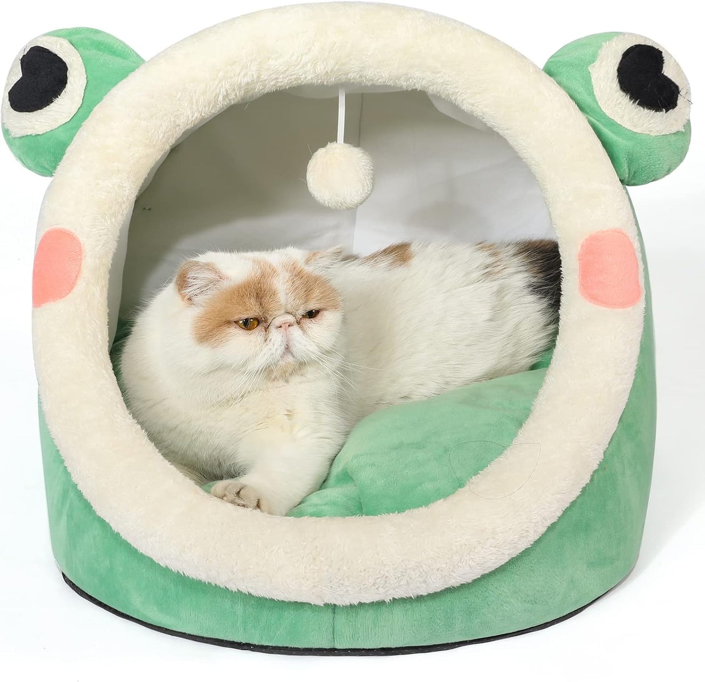 Frog Bed